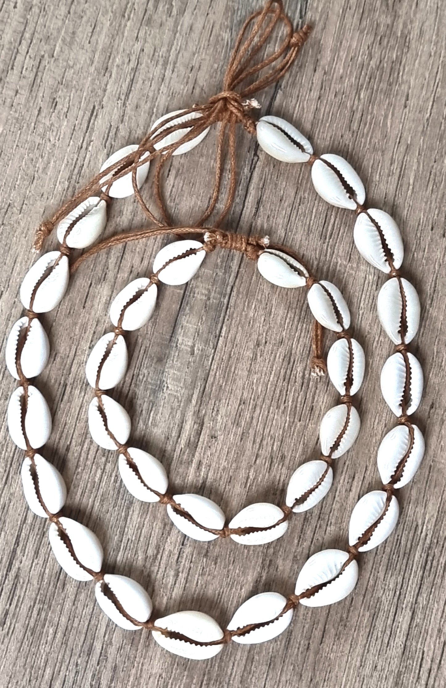 Cowrie Shell Necklace